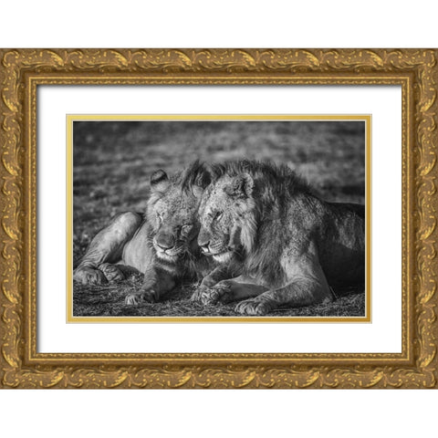 The Aging Alliance. Gold Ornate Wood Framed Art Print with Double Matting by C. Sink, Jeffrey