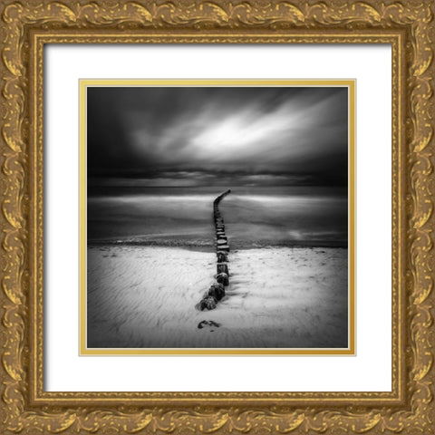 Ssss Gold Ornate Wood Framed Art Print with Double Matting by Krol, Piotr