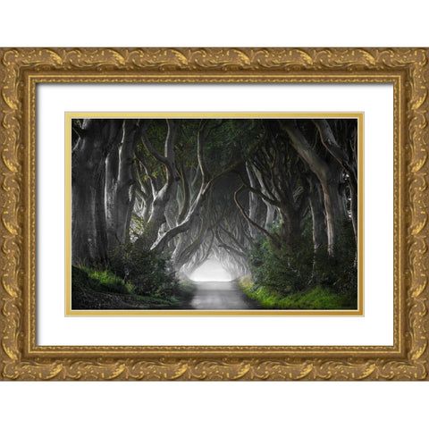 Dark Hedges Gold Ornate Wood Framed Art Print with Double Matting by Molteni, Nicola