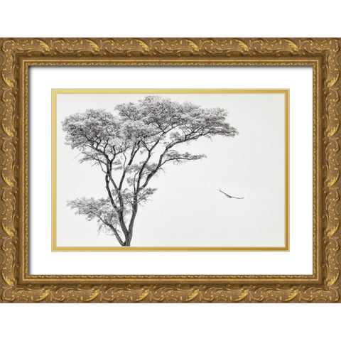 The African Eagle Gold Ornate Wood Framed Art Print with Double Matting by Flour, Piet
