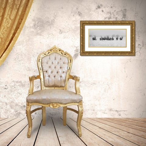 Oryx In The Rain Gold Ornate Wood Framed Art Print with Double Matting by Trubitsyn, Kirill