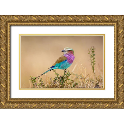 Gods Gift To The Sky. Gold Ornate Wood Framed Art Print with Double Matting by C. Sink, Jeffrey