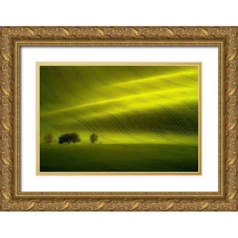 Sunlight Gold Ornate Wood Framed Art Print with Double Matting by Banny, Peter