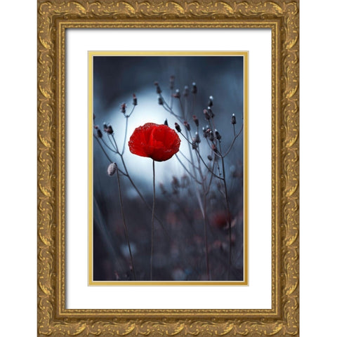 Flower Not By Kenzo. By Me Gold Ornate Wood Framed Art Print with Double Matting by Bravin, Fabien