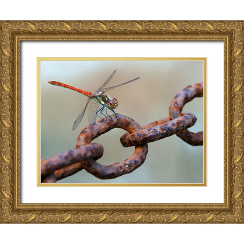 Rusty Gold Ornate Wood Framed Art Print with Double Matting by Hoffman, Jimmy