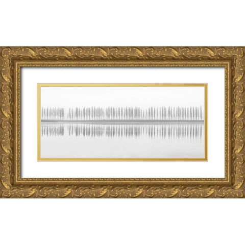 Misty Alley Gold Ornate Wood Framed Art Print with Double Matting by Fotoea