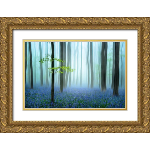 The Blue Forest ........ Gold Ornate Wood Framed Art Print with Double Matting by Haaksma, Piet