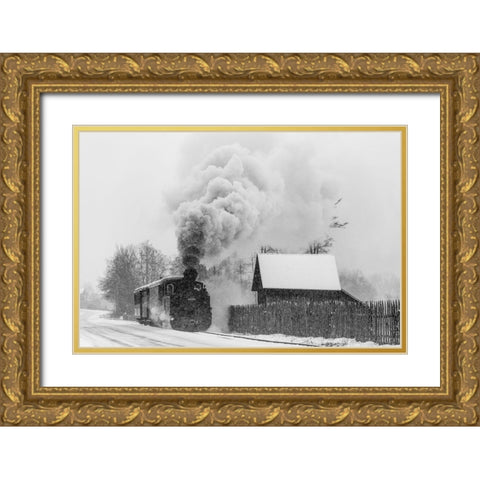Old Train Hutulca Gold Ornate Wood Framed Art Print with Double Matting by Dorin Lucian, Sveduneac