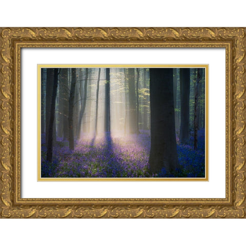 Velvet Light Gold Ornate Wood Framed Art Print with Double Matting by Popan, Adrian