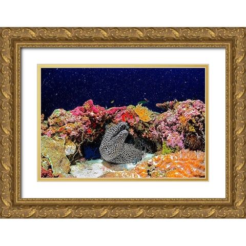 Under The Star Gold Ornate Wood Framed Art Print with Double Matting by Marchegiani, Roberto