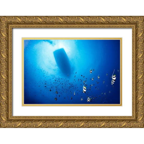 Storm Gold Ornate Wood Framed Art Print with Double Matting by Marchegiani, Roberto