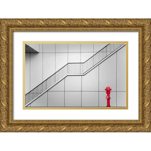 Fire Escape And Tap. Gold Ornate Wood Framed Art Print with Double Matting by Van Maastricht, Henk