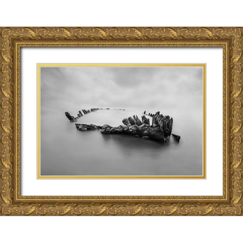 Ghost Ship Gold Ornate Wood Framed Art Print with Double Matting by Perez, Ritxard
