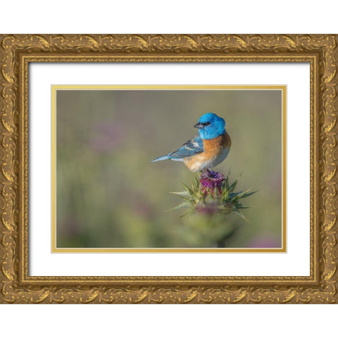 Blowin In The Wind Gold Ornate Wood Framed Art Print with Double Matting by Barsh, Greg