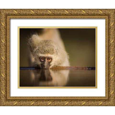 Attentive Gold Ornate Wood Framed Art Print with Double Matting by Marx, Jaco