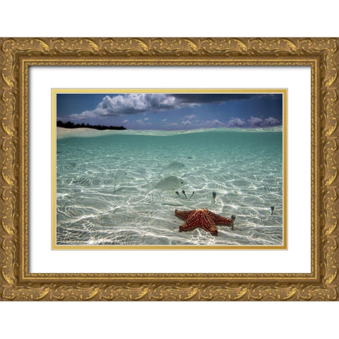 Underwater Gold Ornate Wood Framed Art Print with Double Matting by Pardini, Elena