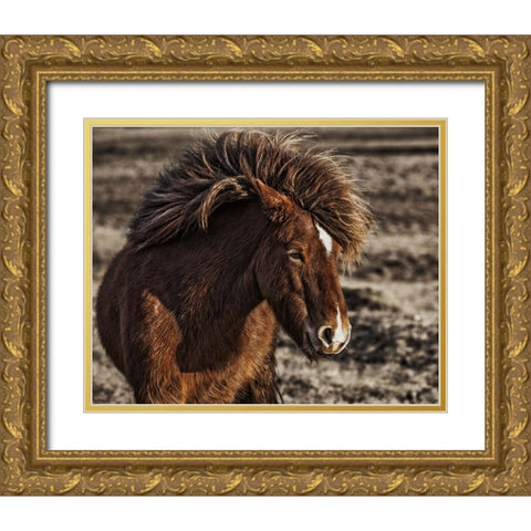 Windblown Gold Ornate Wood Framed Art Print with Double Matting by Ingibergsson, Bragi