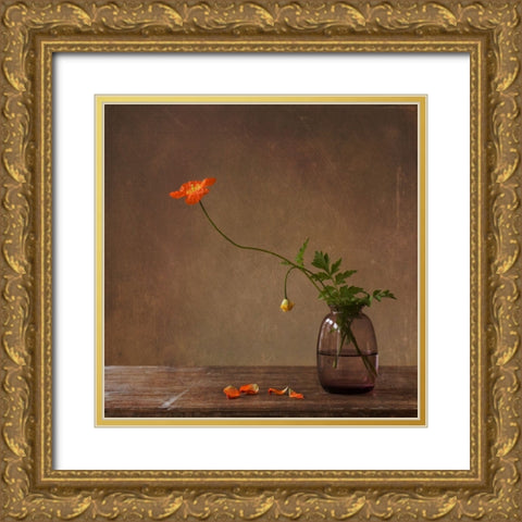 A Story With Orange Poppies Gold Ornate Wood Framed Art Print with Double Matting by Bunkova, Galina