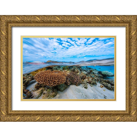Into The Lagoon! Gold Ornate Wood Framed Art Print with Double Matting by Gabriel, Barathieu