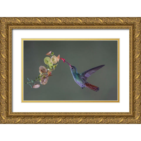 Stretch Gold Ornate Wood Framed Art Print with Double Matting by Barsh, Greg