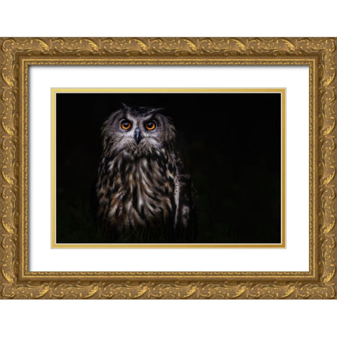 Prince Of The Night Gold Ornate Wood Framed Art Print with Double Matting by Benezech, Martine