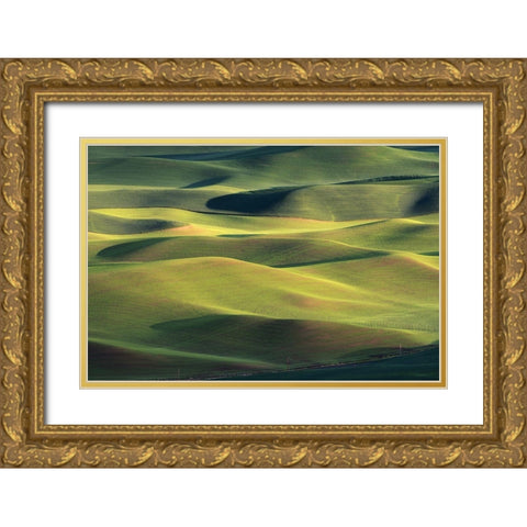 Dream Land Gold Ornate Wood Framed Art Print with Double Matting by Li, Austin