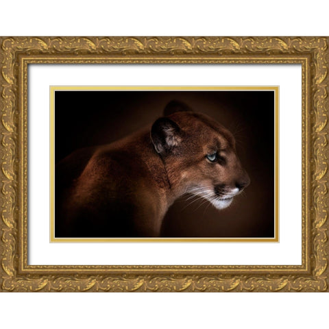 Puma Gold Ornate Wood Framed Art Print with Double Matting by Reindl, Doris