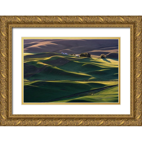 Dream Land #3 Gold Ornate Wood Framed Art Print with Double Matting by Li, Austin