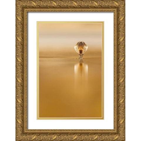 Dunlin Reflection Gold Ornate Wood Framed Art Print with Double Matting by Suarez, Mario