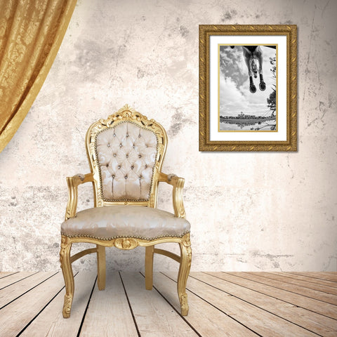 Equine Flight Gold Ornate Wood Framed Art Print with Double Matting by Lee Chapman, Sharon