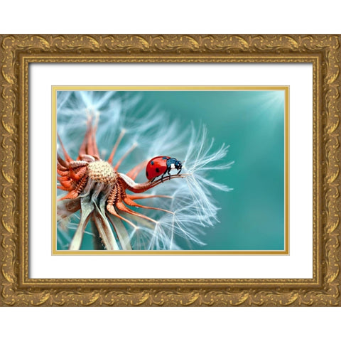 Freedoom Gold Ornate Wood Framed Art Print with Double Matting by Ozturk, Mustafa