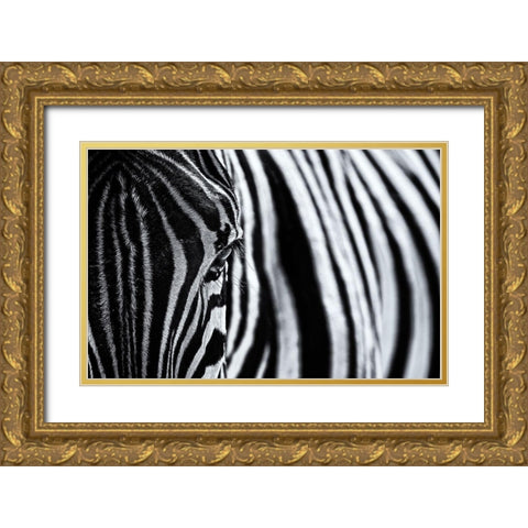 The Look Of Nature Gold Ornate Wood Framed Art Print with Double Matting by Tagliarino, Marco