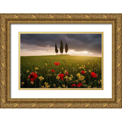 Blooming Tuscany Gold Ornate Wood Framed Art Print with Double Matting by Rericha, Daniel