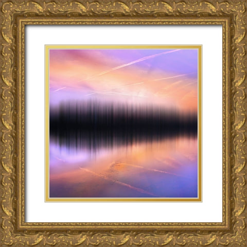 Lejos... En El Reino De Los Sueapos III Gold Ornate Wood Framed Art Print with Double Matting by Rodriguez, Chus