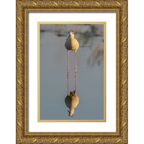 Mirror Gold Ornate Wood Framed Art Print with Double Matting by Tamajo, Massimo