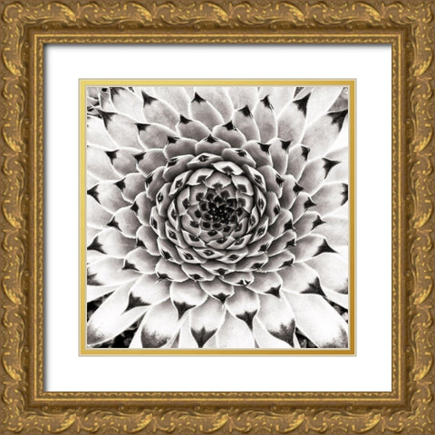 Untitled Gold Ornate Wood Framed Art Print with Double Matting by Pandya, Hardik