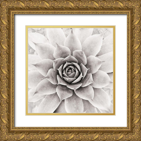 Untitled Gold Ornate Wood Framed Art Print with Double Matting by Pandya, Hardik