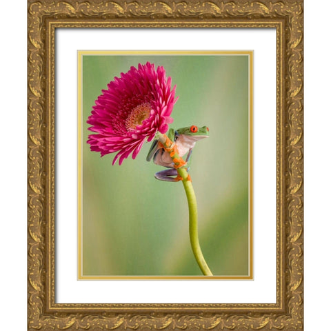 Lookout Gold Ornate Wood Framed Art Print with Double Matting by Schneider, Cheryl