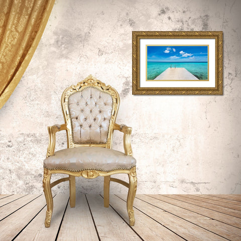 Caribbean Dream Gold Ornate Wood Framed Art Print with Double Matting by Leske, Mike