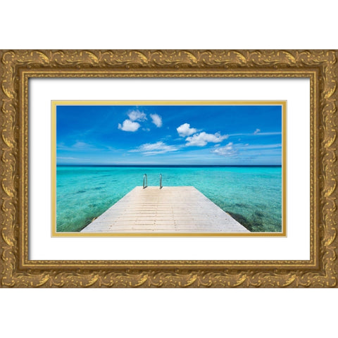 Caribbean Dream Gold Ornate Wood Framed Art Print with Double Matting by Leske, Mike