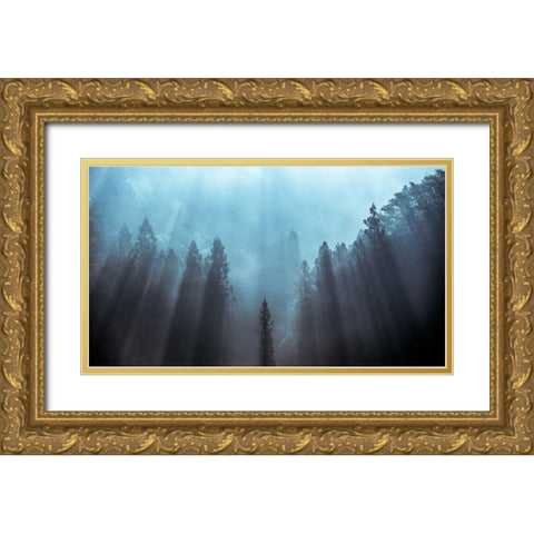 Light To Be Believed Likely Gold Ornate Wood Framed Art Print with Double Matting by Fujii, Tsuneya