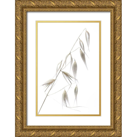 Reed Delicacy Gold Ornate Wood Framed Art Print with Double Matting by Lagandre, Thierry