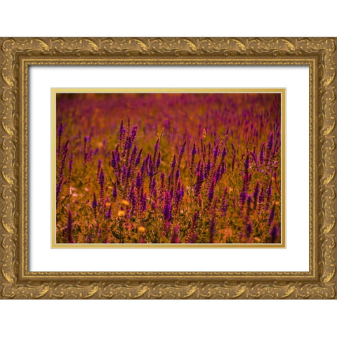 Violets Gold Ornate Wood Framed Art Print with Double Matting by Heidari, Ali