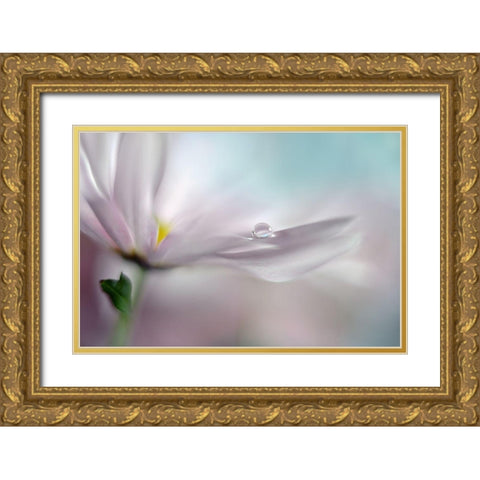 Where Dreams Come True Gold Ornate Wood Framed Art Print with Double Matting by Westum, Heidi