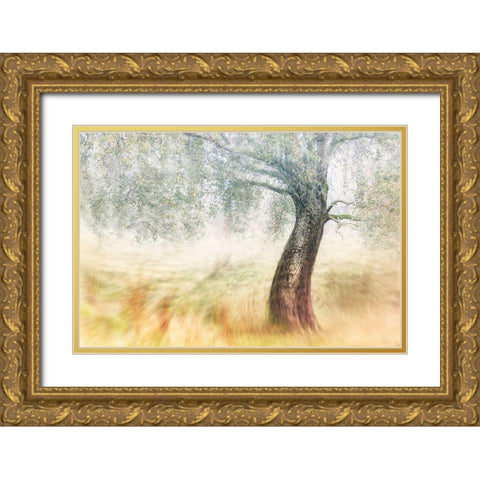 Twisted Dream Gold Ornate Wood Framed Art Print with Double Matting by Davidsson, Gustav