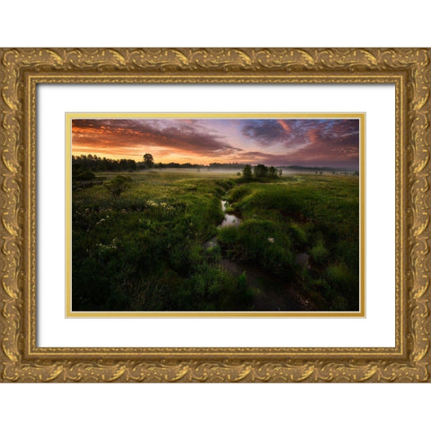 Morning On Kesma River Gold Ornate Wood Framed Art Print with Double Matting by Volkov, Kirill