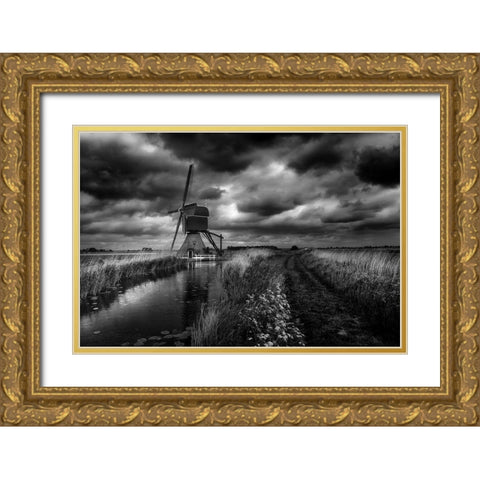 Dutch Pride Gold Ornate Wood Framed Art Print with Double Matting by Hageman, Michiel