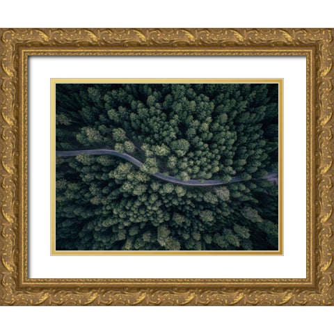 From Above Gold Ornate Wood Framed Art Print with Double Matting by Carrillo Lopez, Antonio