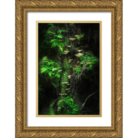 Mushroom Wall Gold Ornate Wood Framed Art Print with Double Matting by Damsten, Petri