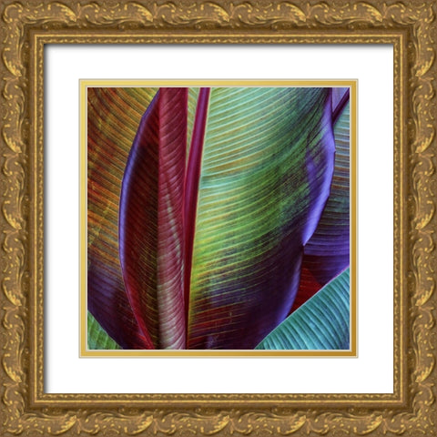 Banana Skin Gold Ornate Wood Framed Art Print with Double Matting by Casanova, Francois